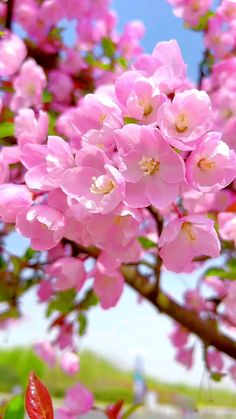 Весеннее предложение!